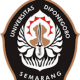 undip